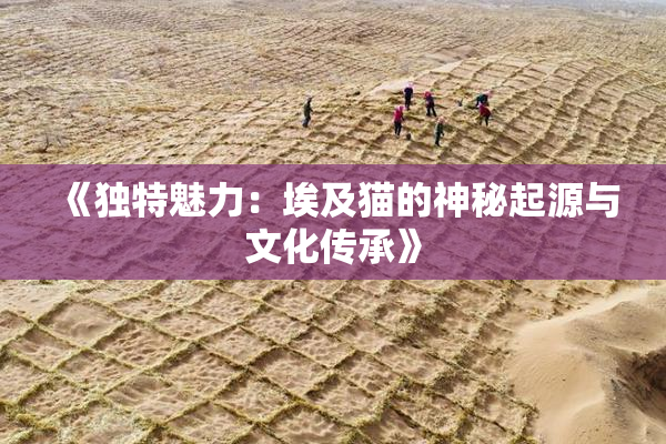 《独特魅力：埃及猫的神秘起源与文化传承》