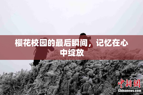 樱花校园的最后瞬间，记忆在心中绽放