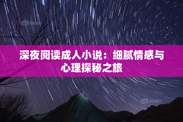 深夜阅读成人小说：细腻情感与心理探秘之旅
