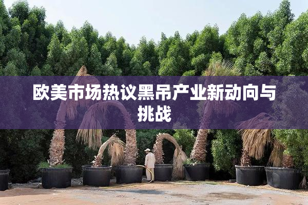 欧美市场热议黑吊产业新动向与挑战