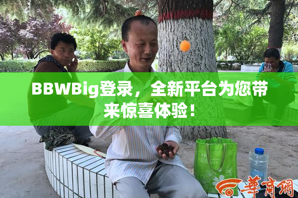 BBWBig登录，全新平台为您带来惊喜体验！