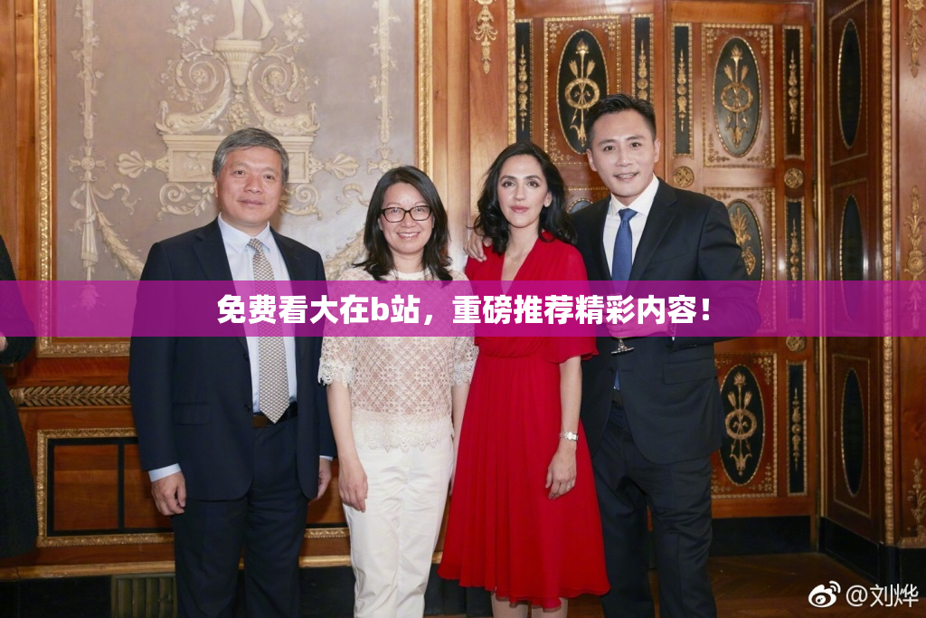 免费看大在b站，重磅推荐精彩内容！