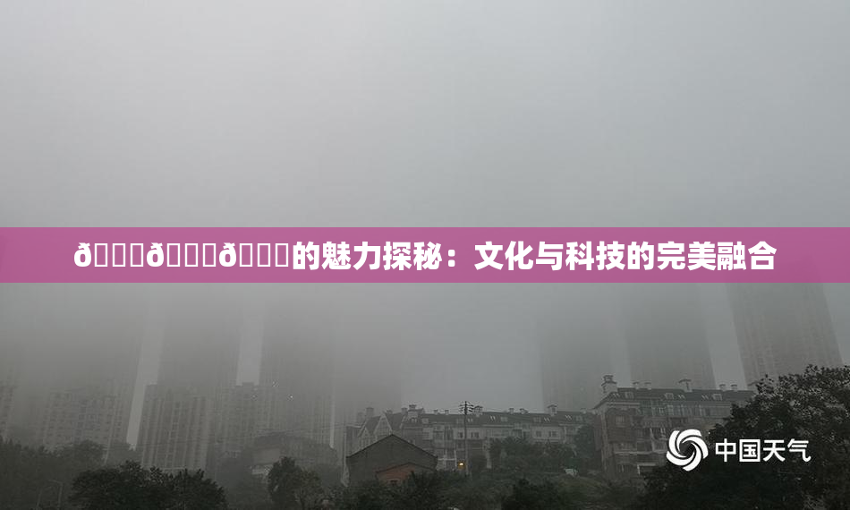 🍆🍑🔞的魅力探秘：文化与科技的完美融合