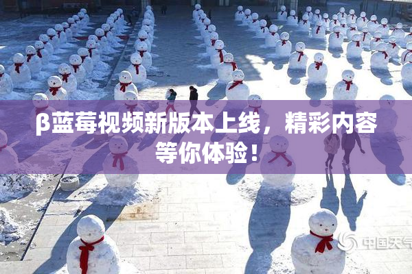 β蓝莓视频新版本上线，精彩内容等你体验！