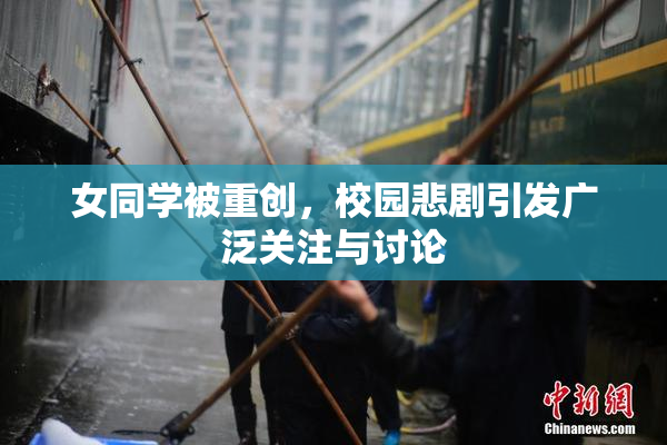 女同学被重创，校园悲剧引发广泛关注与讨论
