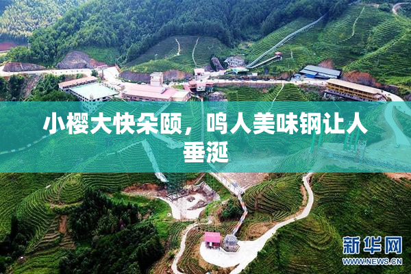 小樱大快朵颐，鸣人美味钢让人垂涎