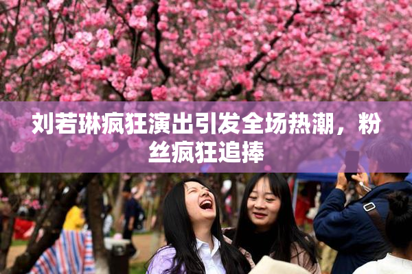 刘若琳疯狂演出引发全场热潮，粉丝疯狂追捧