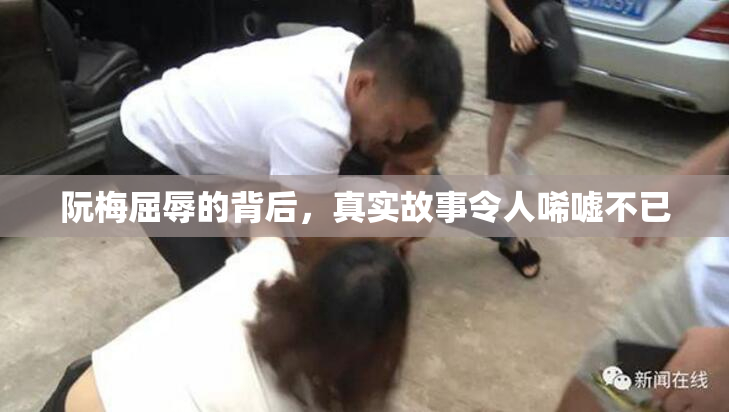 阮梅屈辱的背后，真实故事令人唏嘘不已