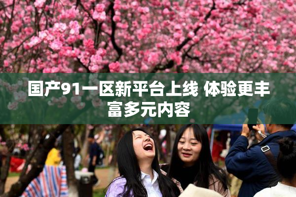 国产91一区新平台上线 体验更丰富多元内容