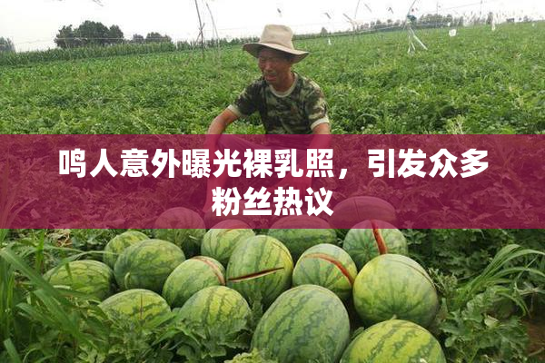 鸣人意外曝光裸乳照，引发众多粉丝热议