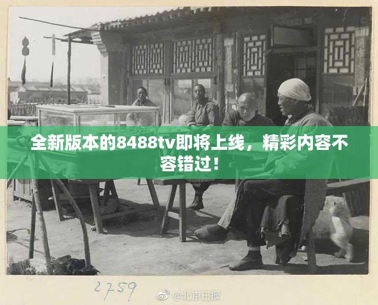 全新版本的8488tv即将上线，精彩内容不容错过！