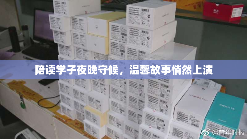 陪读学子夜晚守候，温馨故事悄然上演