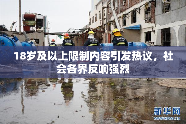18岁及以上限制内容引发热议，社会各界反响强烈