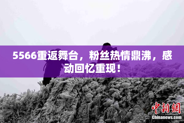 5566重返舞台，粉丝热情鼎沸，感动回忆重现！