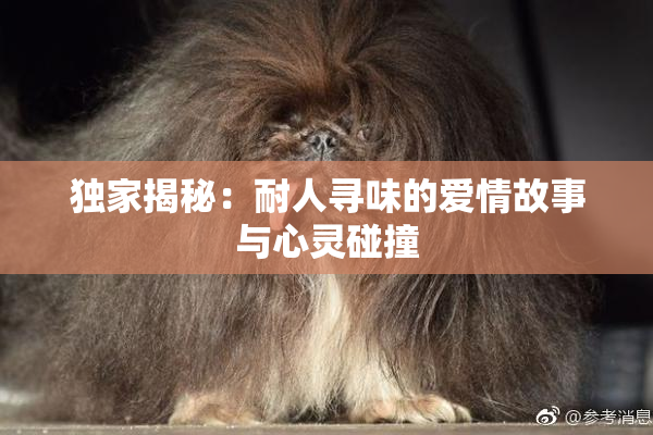独家揭秘：耐人寻味的爱情故事与心灵碰撞