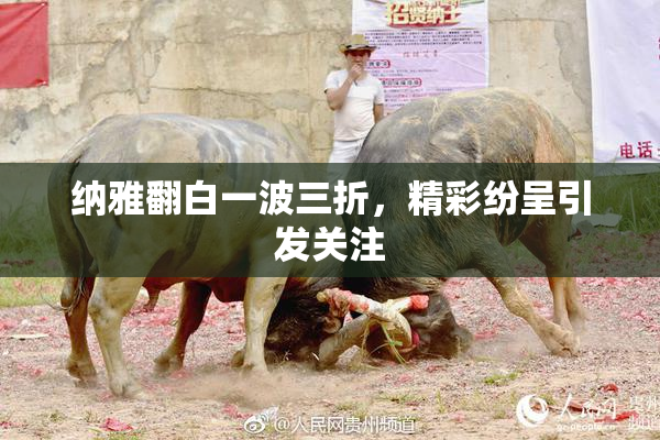 纳雅翻白一波三折，精彩纷呈引发关注