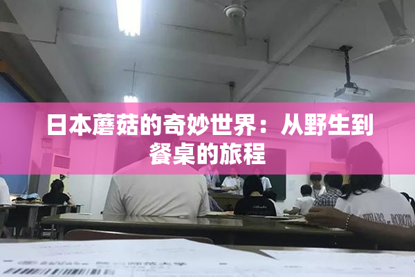 日本蘑菇的奇妙世界：从野生到餐桌的旅程