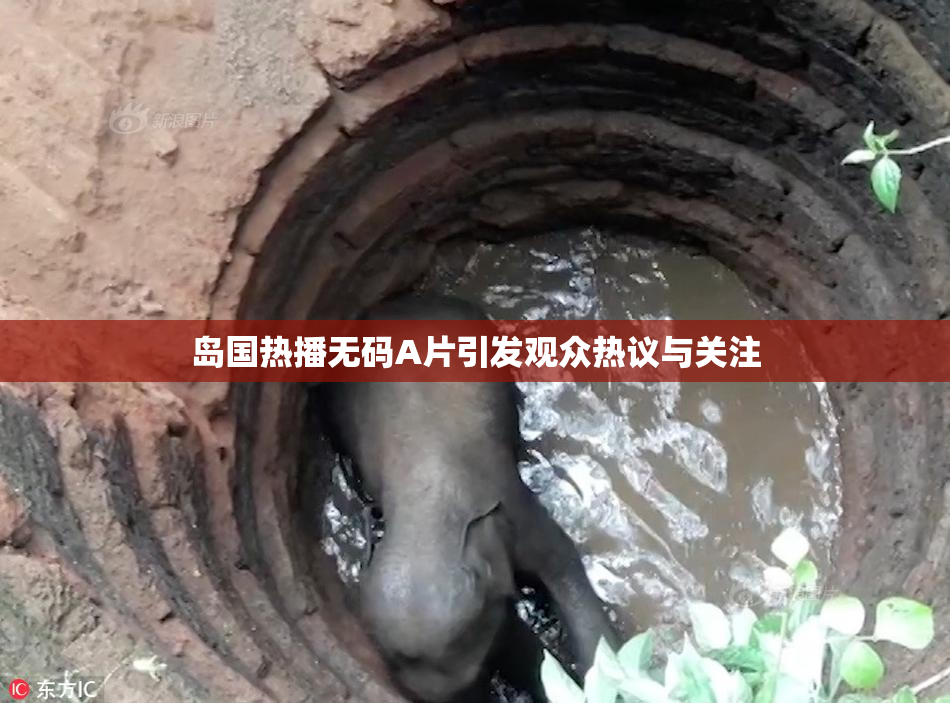 岛国热播无码A片引发观众热议与关注