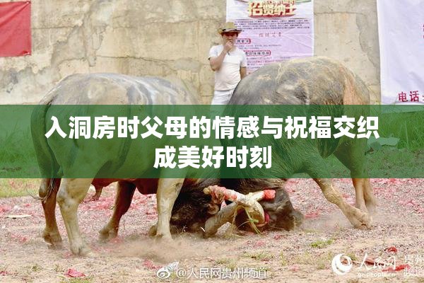 入洞房时父母的情感与祝福交织成美好时刻