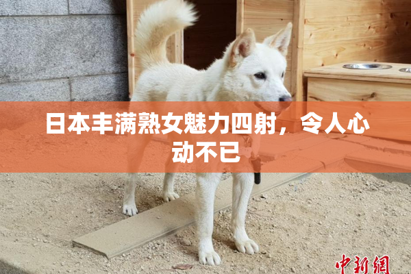 日本丰满熟女魅力四射，令人心动不已