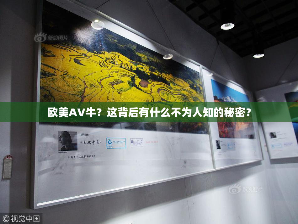欧美AV牛？这背后有什么不为人知的秘密？