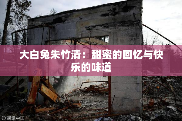 大白兔朱竹清：甜蜜的回忆与快乐的味道