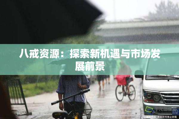 八戒资源：探索新机遇与市场发展前景