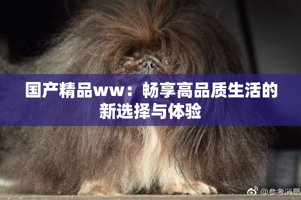 国产精品ww：畅享高品质生活的新选择与体验