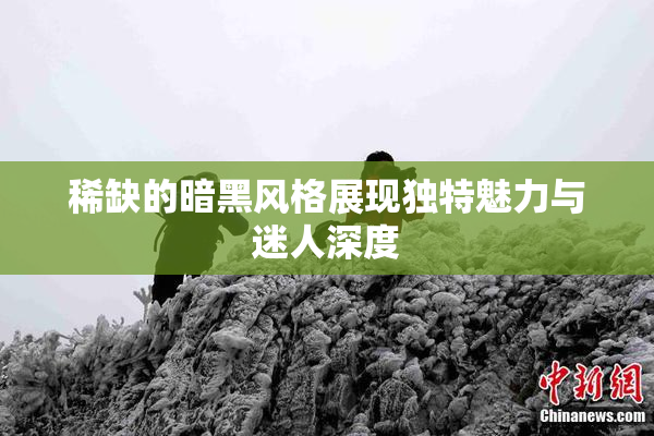 稀缺的暗黑风格展现独特魅力与迷人深度