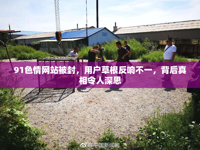91色情网站被封，用户草根反响不一，背后真相令人深思