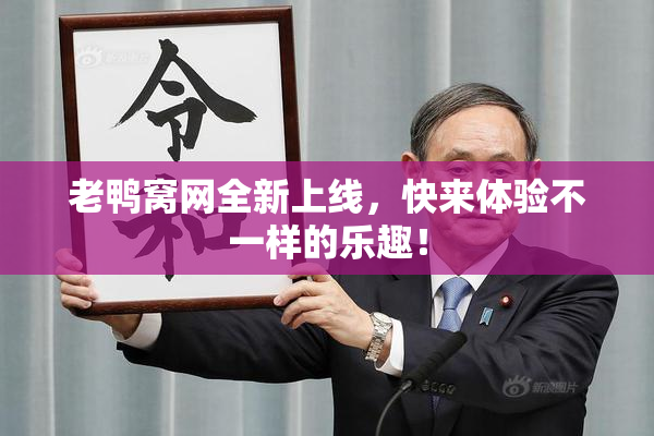 老鸭窝网全新上线，快来体验不一样的乐趣！