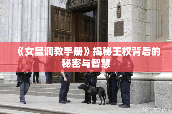 《女皇调教手册》揭秘王权背后的秘密与智慧