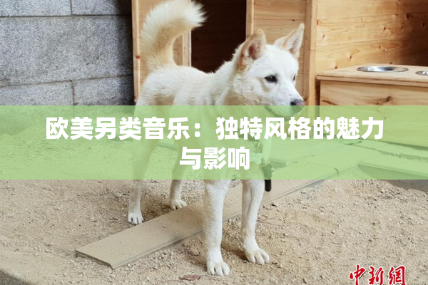 欧美另类音乐：独特风格的魅力与影响