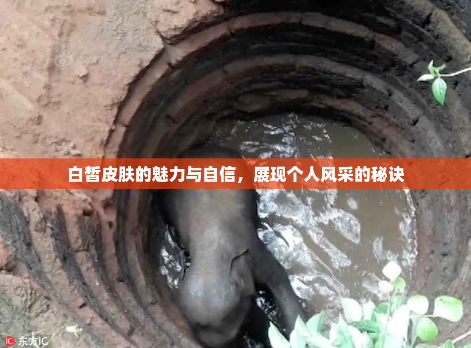 白皙皮肤的魅力与自信，展现个人风采的秘诀