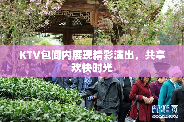 KTV包间内展现精彩演出，共享欢快时光