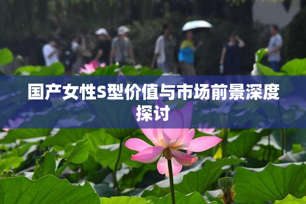 国产女性S型价值与市场前景深度探讨