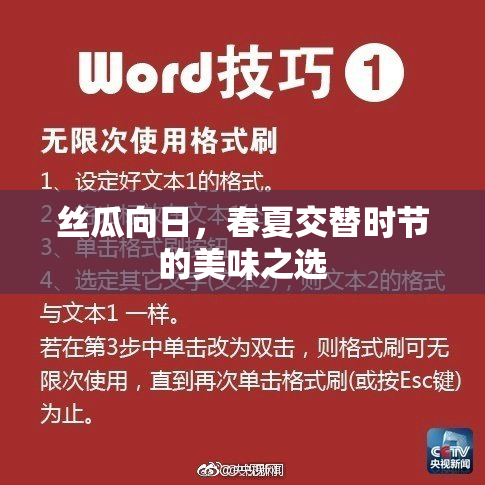 丝瓜向日，春夏交替时节的美味之选