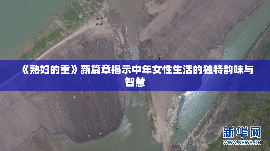 《熟妇的重》新篇章揭示中年女性生活的独特韵味与智慧