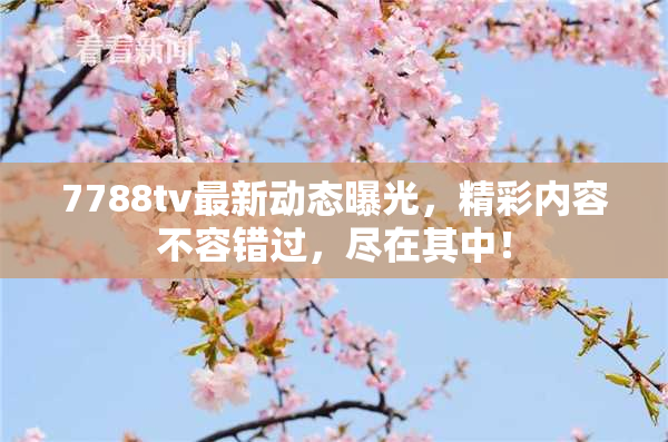 7788tv最新动态曝光，精彩内容不容错过，尽在其中！