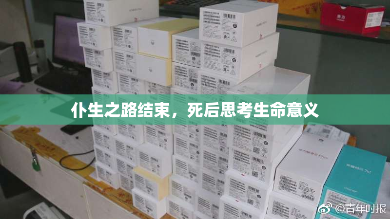 仆生之路结束，死后思考生命意义