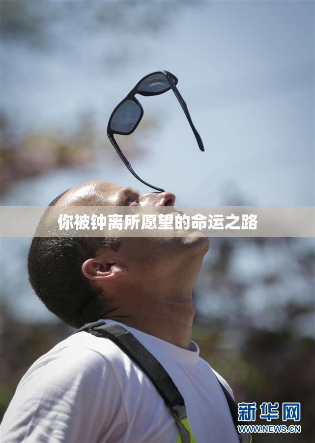 你被钟离所愿望的命运之路