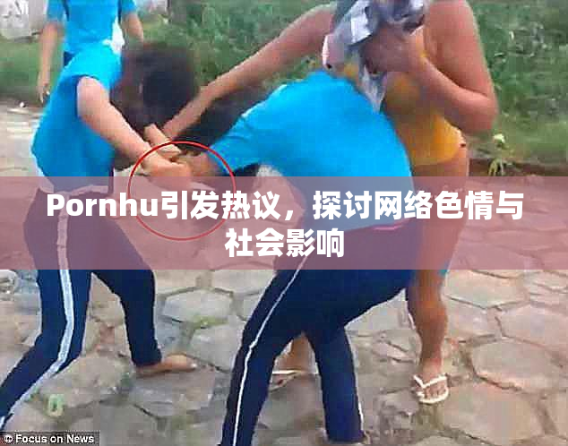 Pornhu引发热议，探讨网络色情与社会影响