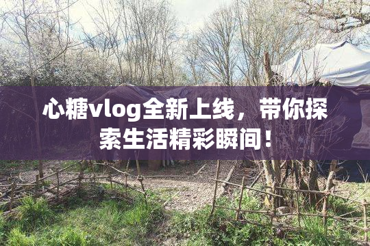 心糖vlog全新上线，带你探索生活精彩瞬间！