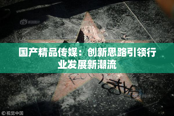 国产精品传媒：创新思路引领行业发展新潮流