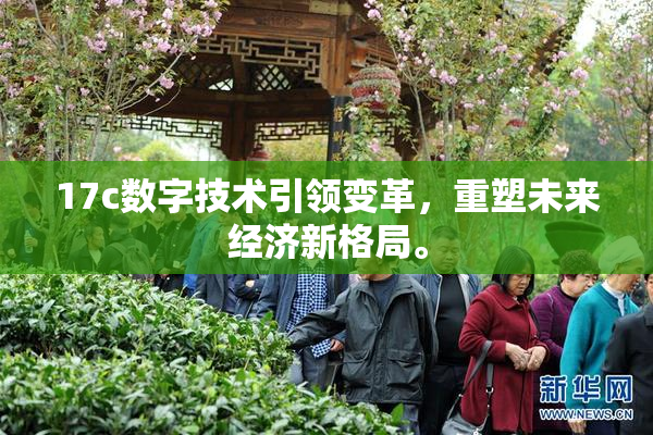 17c数字技术引领变革，重塑未来经济新格局。