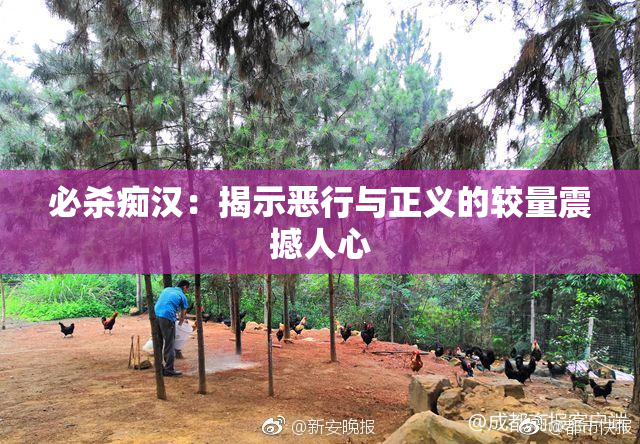 必杀痴汉：揭示恶行与正义的较量震撼人心