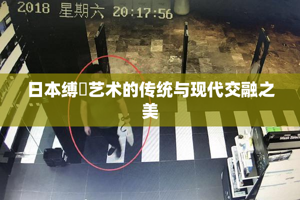 日本缚縄艺术的传统与现代交融之美