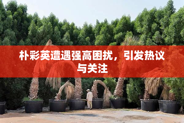 朴彩英遭遇强高困扰，引发热议与关注