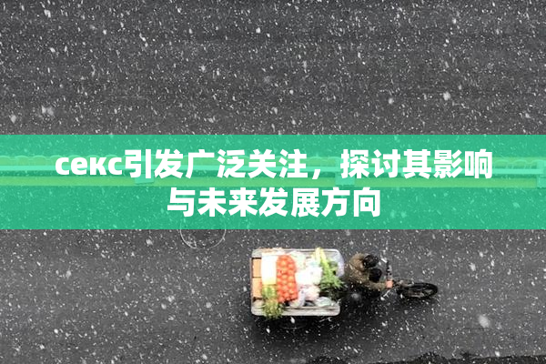 ceкс引发广泛关注，探讨其影响与未来发展方向