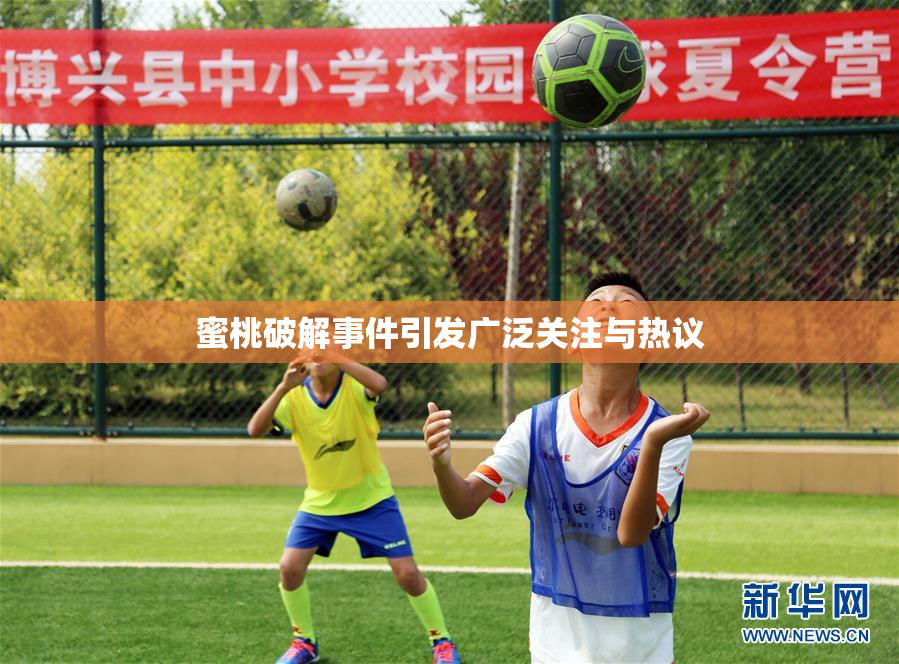 蜜桃破解事件引发广泛关注与热议